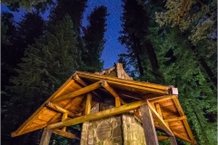 "Four Fireplaces" at Women's Federation Grove