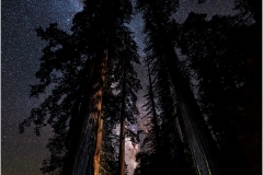 2017-7-7_Sleeping-Giants-MilkyWay-Avenue_1300px