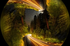 A para-symmetrical exercise created from a nighttime image along US 101, the Redwood Highway.