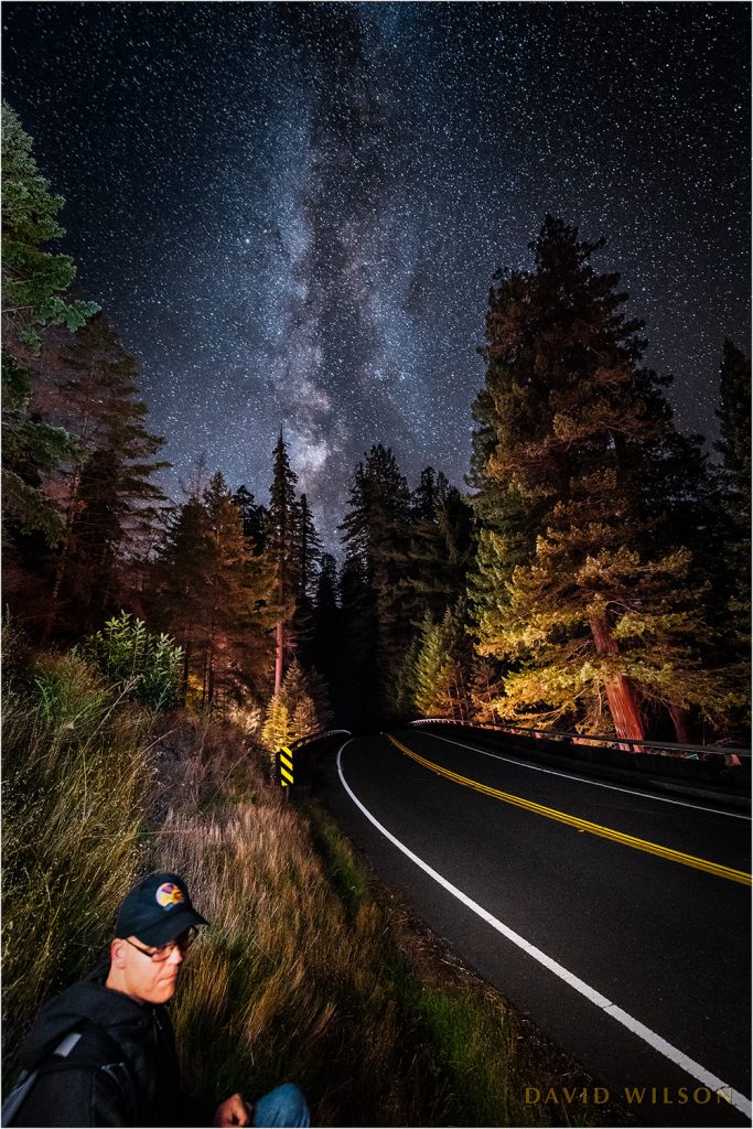 Milky Way over Avenue of the Giants with a person waiting beside the road.