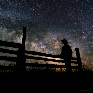 A figure leaning on a fence silhouetted against the Milky Way