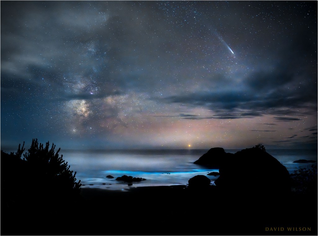 Comet A3 Tsuchinshan–ATLAS with Milky Way over bioluminescence in the surf