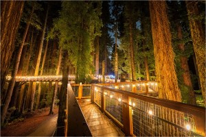 Ramp leading up onto the Redwood Skywalk