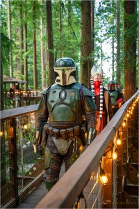 Star Wars fans on the Redwood Sky Walk